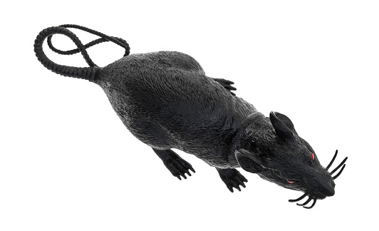 Black Plastic Toy Rat On A White Background Stock Photo - Download ...