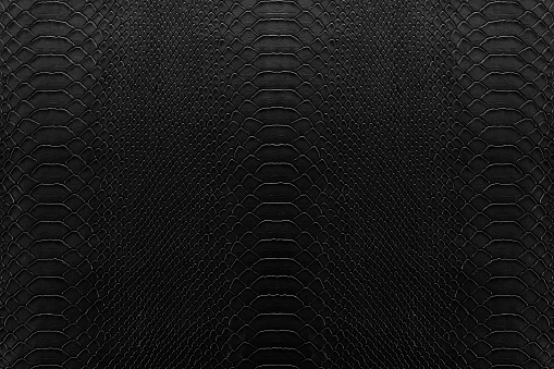Texture background of black reptile leather