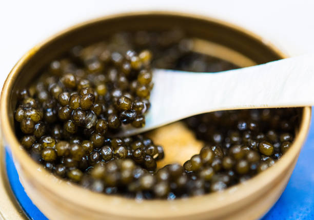 Black sturgeon caviar luxury delicatessen Macro extreme close up of black sturgeon caviar with spoon in bowl roe stock pictures, royalty-free photos & images