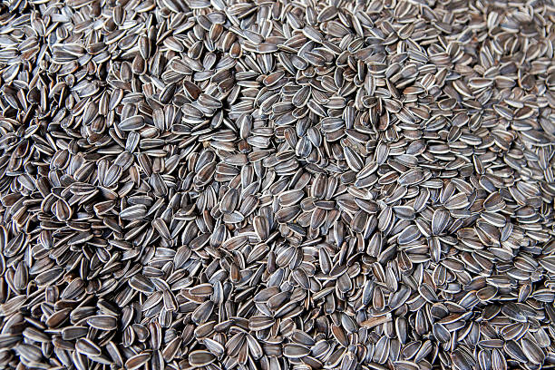 Black sunflower seeds background stock photo