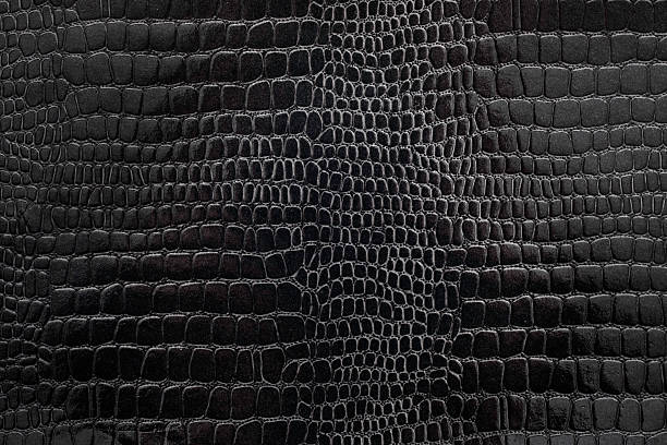 Black textured snakeskin paper Black textured snakeskin paper photographed close-up revealing details of the paper as well as the pattern reptile photos stock pictures, royalty-free photos & images
