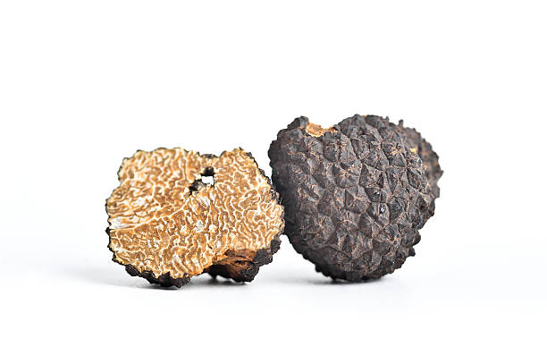 Black Truffle (Italian Tartufo) stock photo