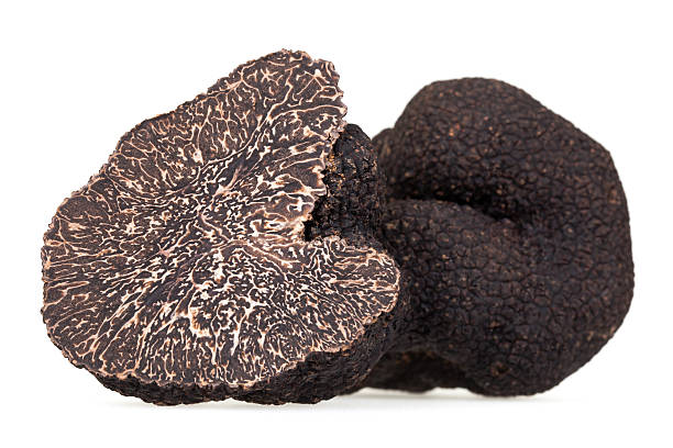 Black Truffle Black Truffle isolated on White Black truffles stock pictures, royalty-free photos & images
