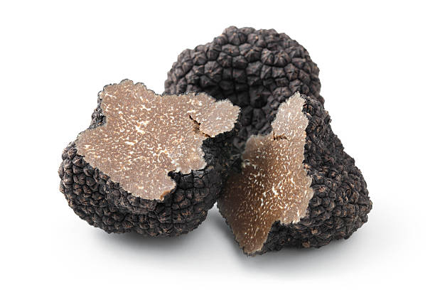 Black truffles on a white background stock photo