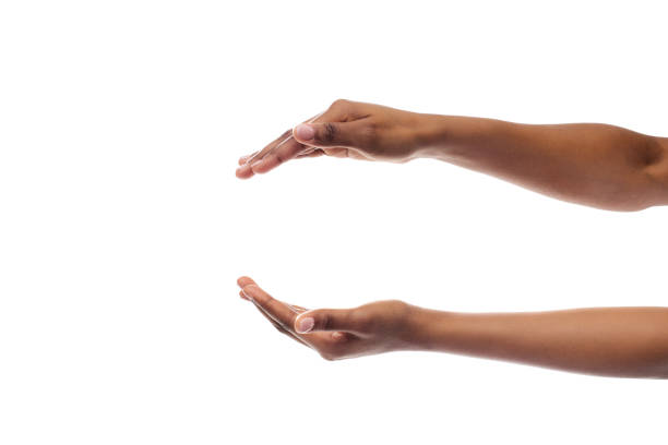 Black Woman's Hands Holding Something Isolated On White Background Black Lady's Hands Holding Or Giving Something Invisible Isolated On White Studio Background. Panorama, Empty Space human limb photos stock pictures, royalty-free photos & images