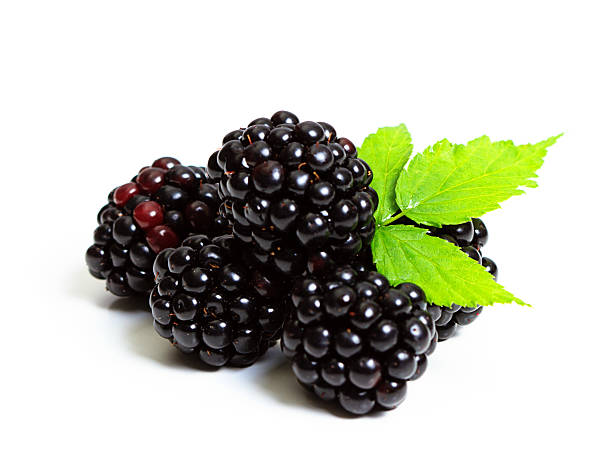 Blackberries With Leaf On White Blackberries With Leaf On White blackberry fruit stock pictures, royalty-free photos & images