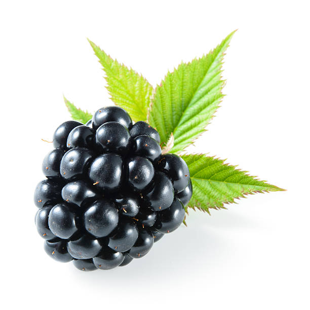 Blackberry isolated on white. Blackberry isolated on white. blackberry fruit stock pictures, royalty-free photos & images