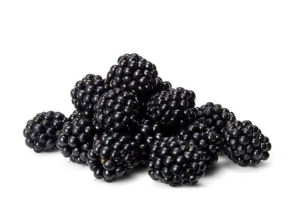 blackberry close up of blackberries on white blackberry fruit stock pictures, royalty-free photos & images