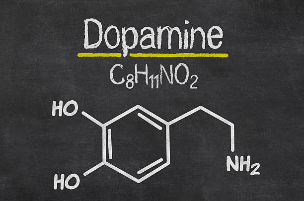 Blackboard with the chemical formula of dopamine stock photo