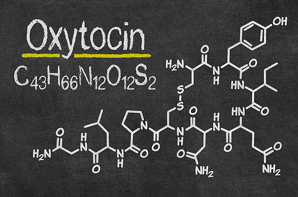 Blackboard with the chemical formula of Oxytocin stock photo