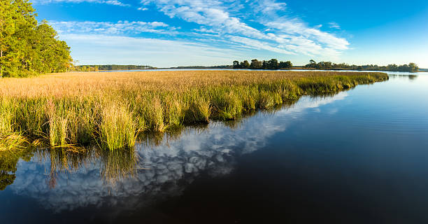Blackwater National Wildlife Marsh Grass and Cloud Formation - Panorama stock photo