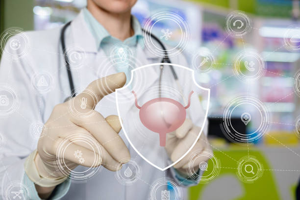 Bladder protection and treatment concept. stock photo
