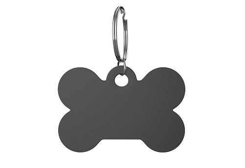 Blank Cat Dog Id Tag Name Pendant Bone Necklace Collar Mockup, 3d render illustration.
