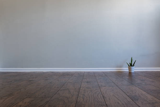 Blank celery color wall in a room with laminated floor with a cactus in the corner Blank room with a gray wall and laminated floor. Small cactus in a pot on the right side of the image. It can be used as a realistic background of virtual furniture or decor. virtual background stock pictures, royalty-free photos & images