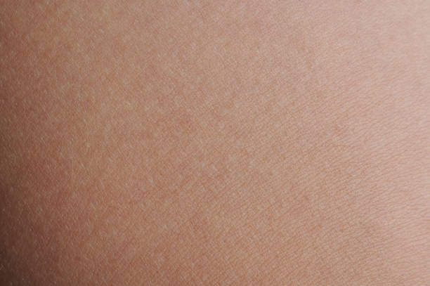 Blank clean skin texture background Blank clean skin texture background macro close up view human skin close up stock pictures, royalty-free photos & images