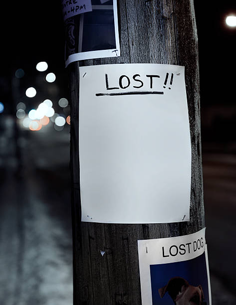 Blank lost poster stock photo
