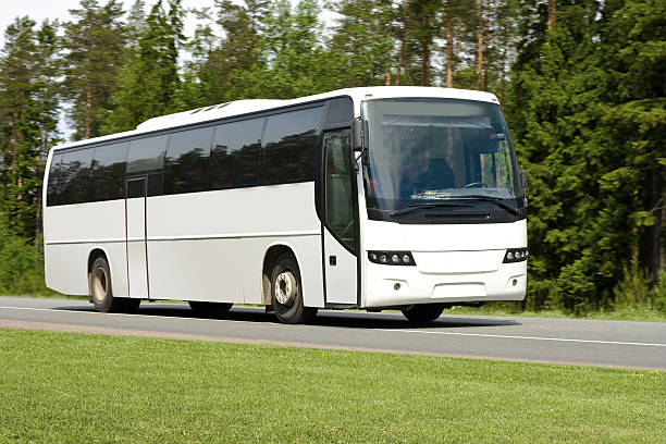 white travel bus