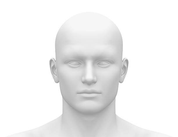 Blank White Male Head - Front view Blank White Male Head - Front view mannequin stock pictures, royalty-free photos & images