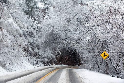 A Blizzard in March in Sedona Arizona showing a yellow street sign and tire tracks on Route 89