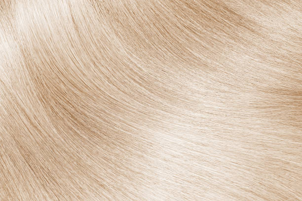 Blond or light brown hair texture background stock photo