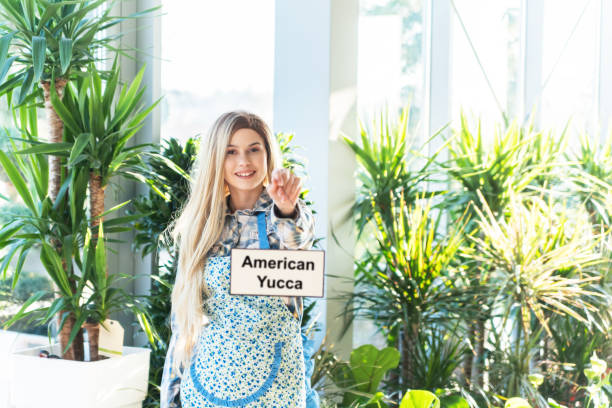 blond florist skylt med amerikanska yucca - tree of life bildbanksfoton och bilder