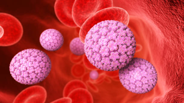 Rákkeltő szemölcs képek, HPV és rosszindulatú daganatok férfiaknál