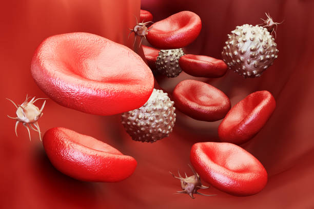blood cells background, 3D rendering blood cells background, 3D rendering blood cancer stock pictures, royalty-free photos & images