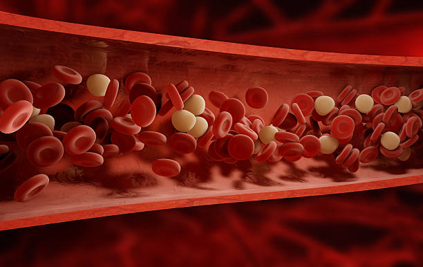 blood cells stock photo