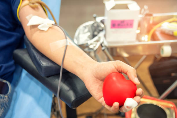 Blood donor at donation. Blood donor at donation, transfusion. Closeup blood donor squeezes the bouncy ball in the form of heart in his hand. Healthcare and charity. Concept image for World blood donor day-June 14. blood donation stock pictures, royalty-free photos & images