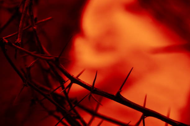 blood red crown of thorns up close stock photo