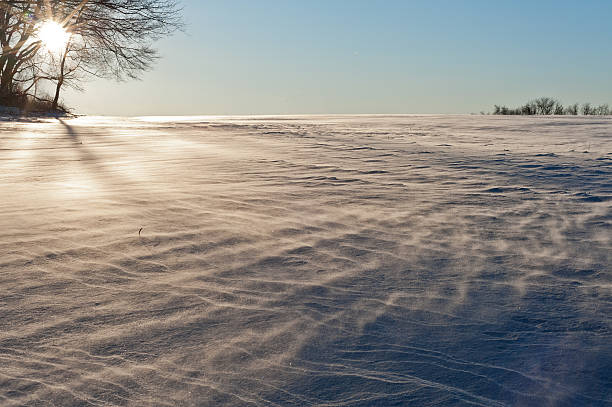 blowing snow across a field stock photo