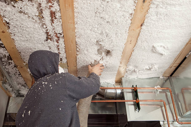 Blown Insulation being Installed between Floor Joists  soundproof stock pictures, royalty-free photos & images