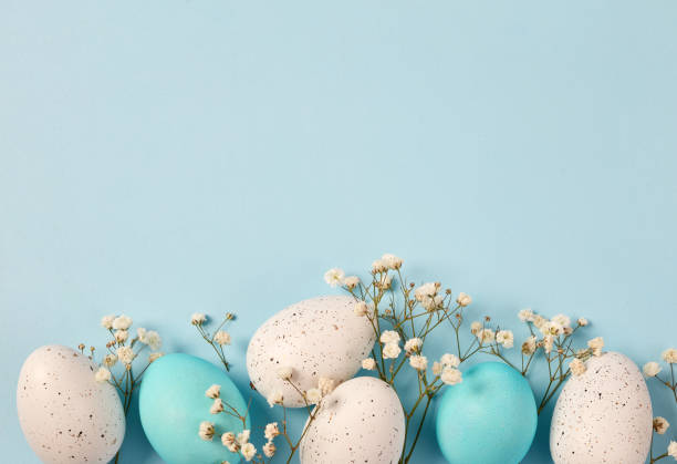 Blue and white Easter eggs and spring flower Blue and white Easter eggs and spring flower easter sunday stock pictures, royalty-free photos & images