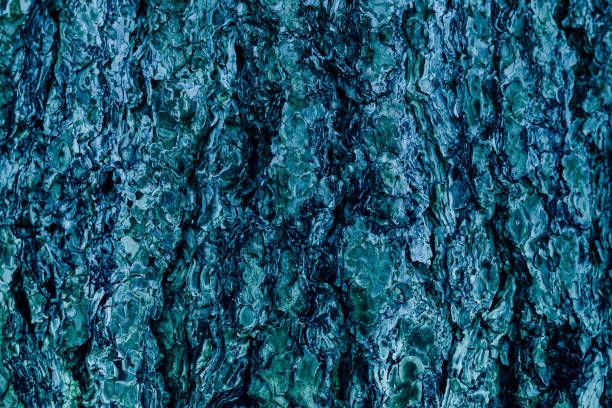 Blue aquamarine organic texture and backgroung, bark surface in retro style stock photo