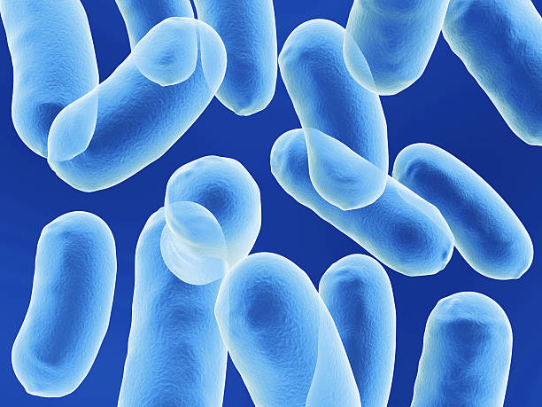 Blue bacillus bacteria on blue background stock photo