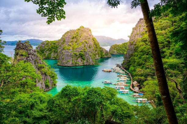 Blue crystal water in paradise Bay with boats on the wooden pier at Kayangan Lake in Coron island, Palawan, Philippines. stock photo