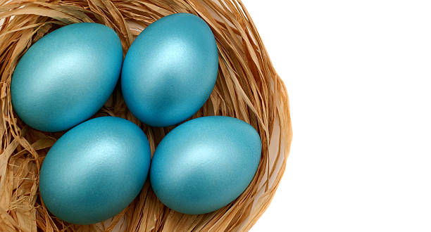 Blue Easter Eggs stock photo