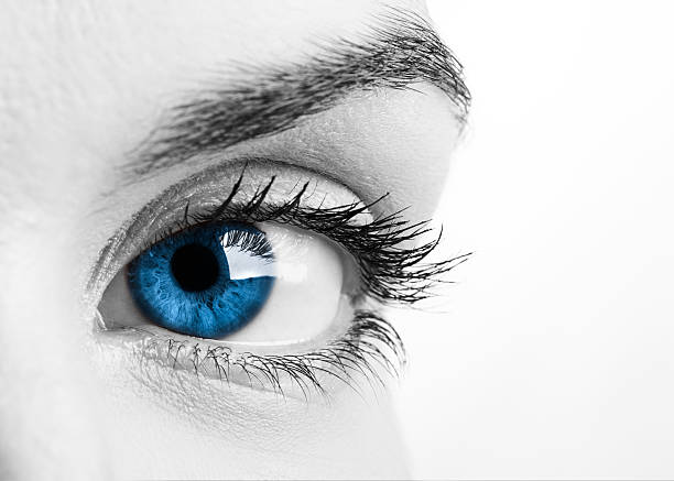 Blue eye Close-up portrait of a beautiful female blue eye blue eyes stock pictures, royalty-free photos & images
