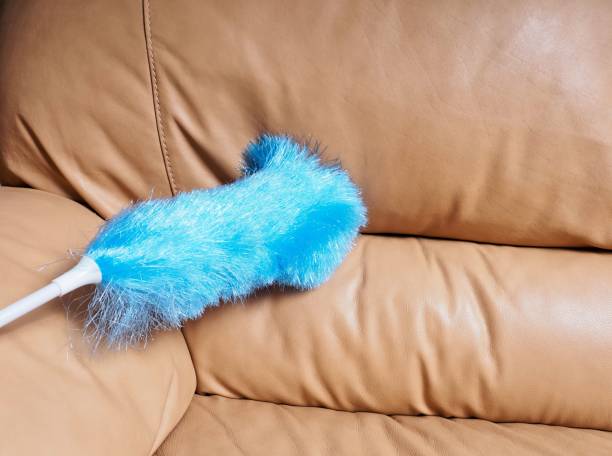  Blue feather duster cleaning household items to tidy up a leather sofa 