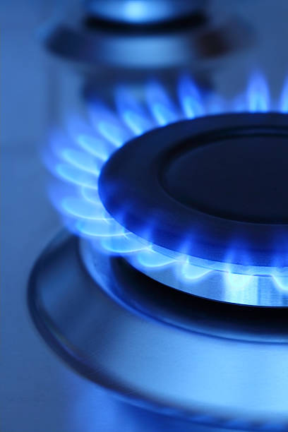 Blue flames of natural gas burning from a gas stove. Vertical...