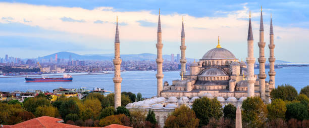 blue mosque and bosporus panorama, istanbul, turkey - istanbul blue mosque skyline bildbanksfoton och bilder