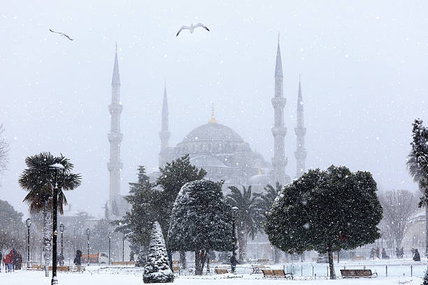 blue mosque in winter season at istanbul,turkey - istanbul blue mosque skyline bildbanksfoton och bilder