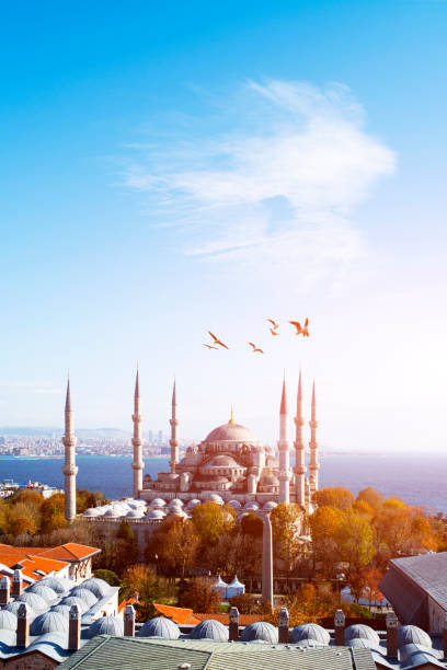 sultanahmet camii-blå moskén i̇stanbul - türkiye - istanbul blue mosque skyline bildbanksfoton och bilder