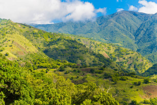 Blue Mountains in Jamaica stock photo