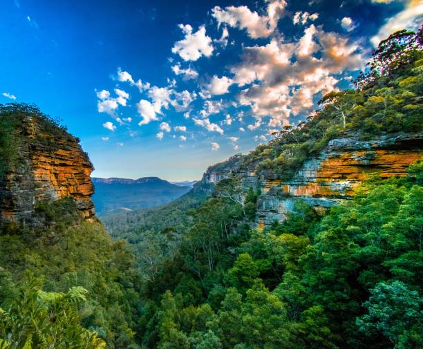 Blue Mountains Lookout from trail at blue mountains just before sunset. wilderness area stock pictures, royalty-free photos & images