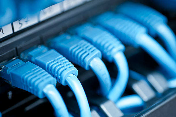 Blue network computer cables plugged into a hub stock photo