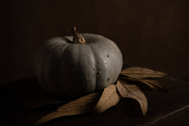 Blue pumpkin and dry leaves on dark background. stock photo