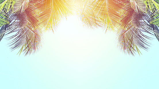 Blue sky and palm trees, vintage style. Summer background concept
