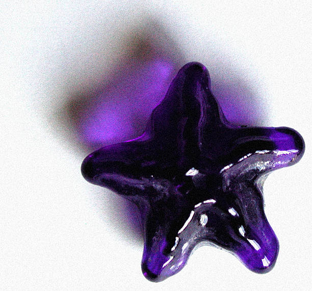Blue starfish sea shell stock photo