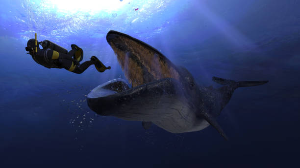 blåval med gigantisk mun är på väg att svälja en dykare under vattnet djupt hav foto 3d rendering - blue whale bildbanksfoton och bilder